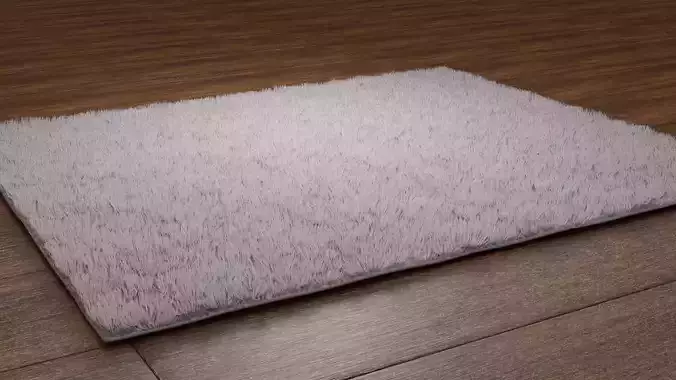 Floor and carpet 3D model