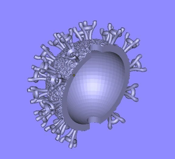 200328 P coronavirus pendant COVID19  3D print model_12