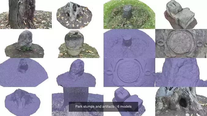 Park stumps and artifacts