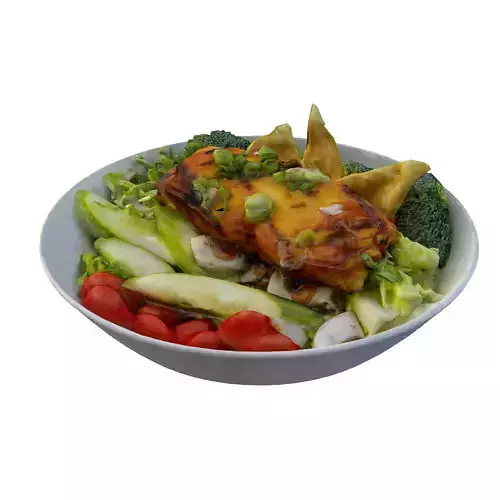TERIYAKI SALMON SALAD Low-poly 3D model