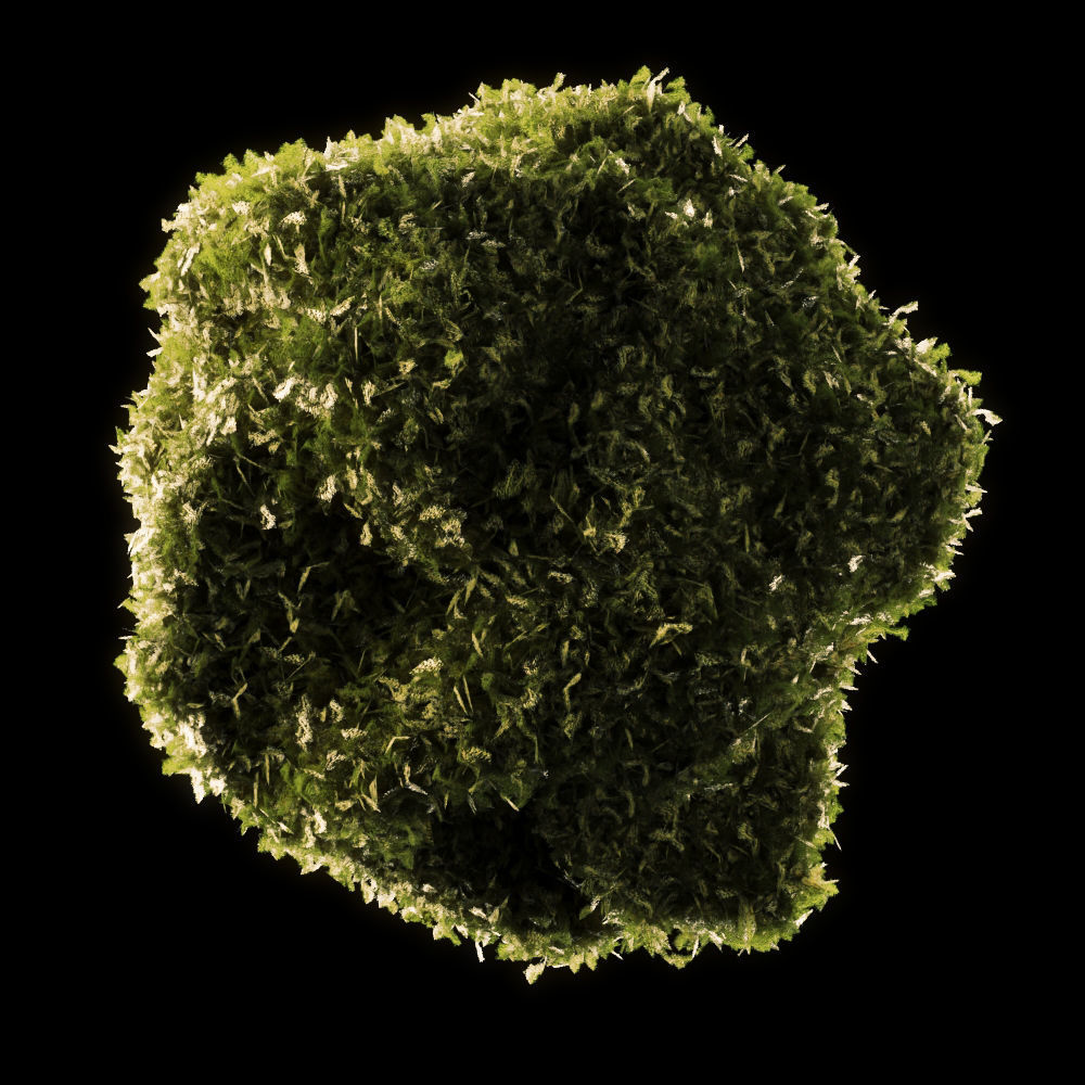 Moss Low Poly 1 Low-poly 3D model_4