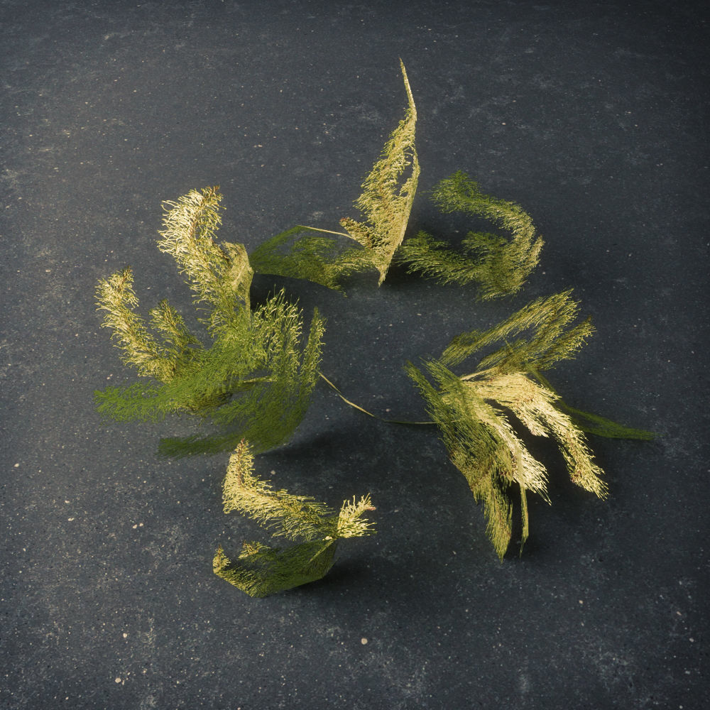 Moss Low Poly 1 Low-poly 3D model_1