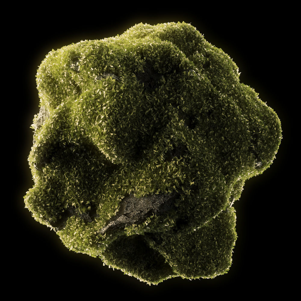 Moss Low Poly 1 Low-poly 3D model_0