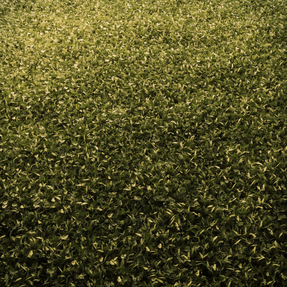 Moss Low Poly 1 Low-poly 3D model_3