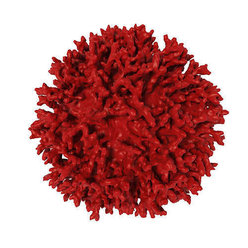 Bio cell 3D model