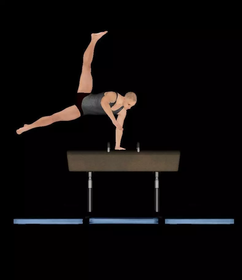 gymnastics pommel horse Free 3D model