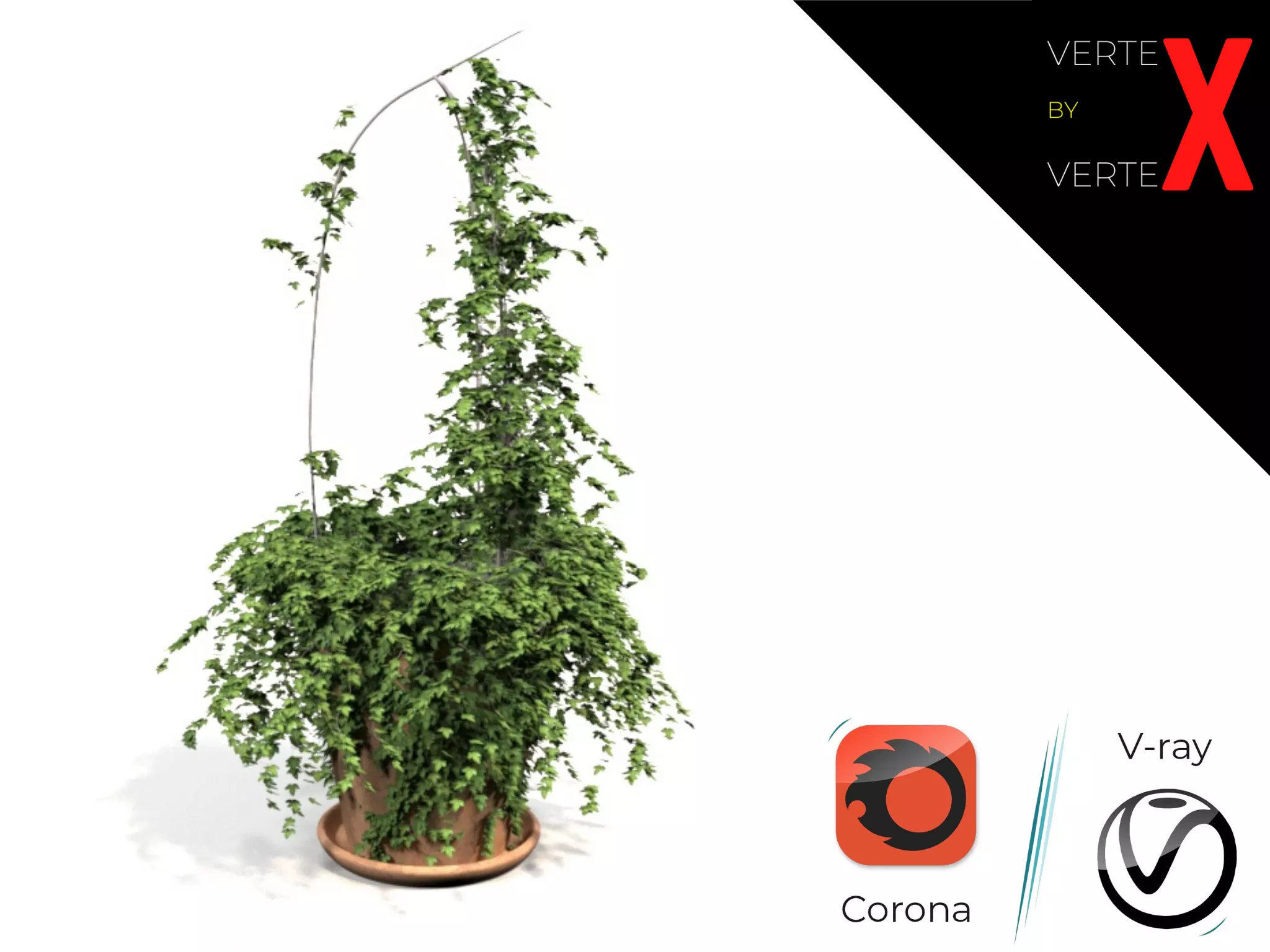 Ivy in pot 3D model_0