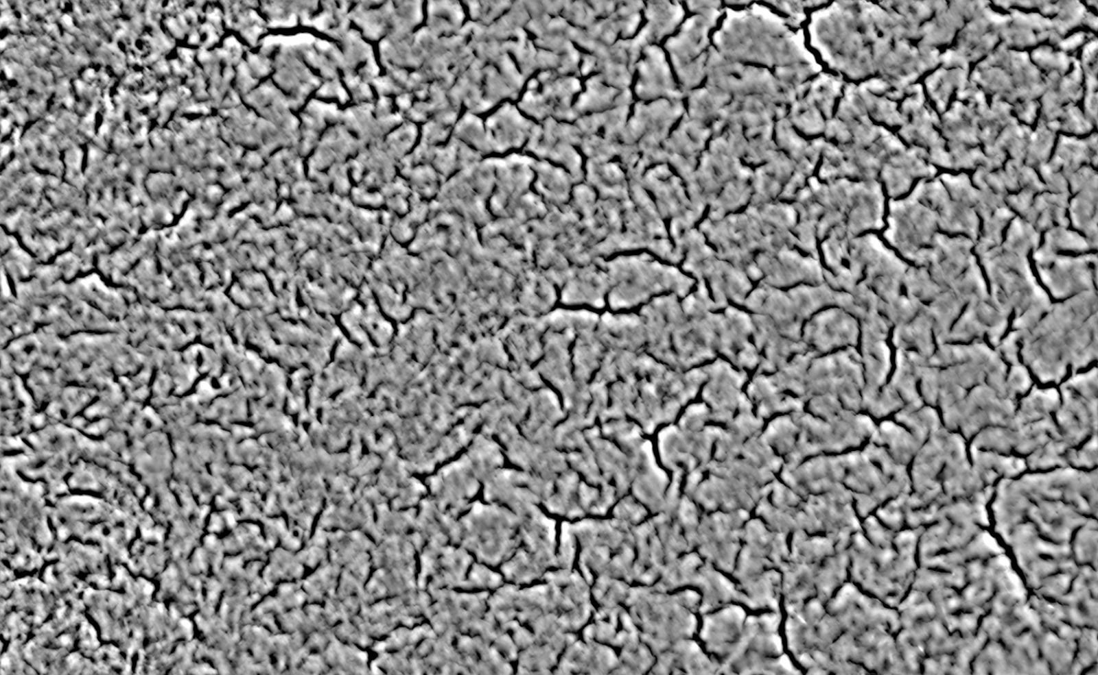 Ivy in pot 3D model_14