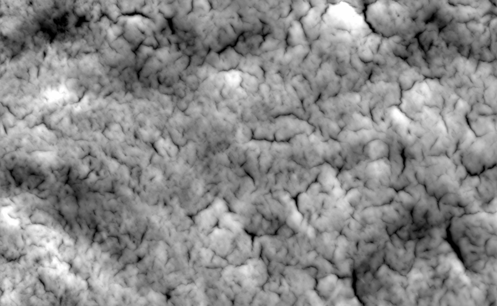 Ivy in pot 3D model_13