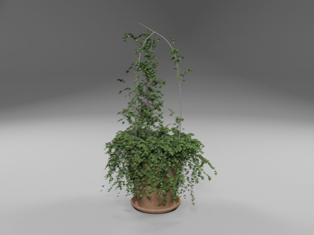 Ivy in pot 3D model_9