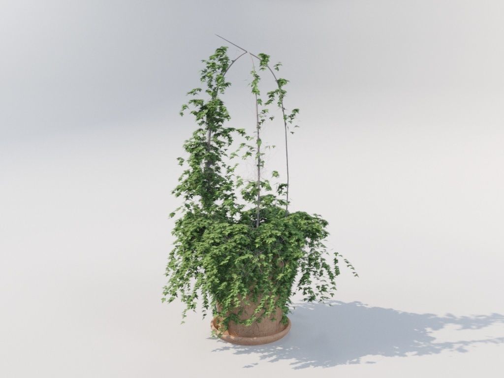 Ivy in pot 3D model_7