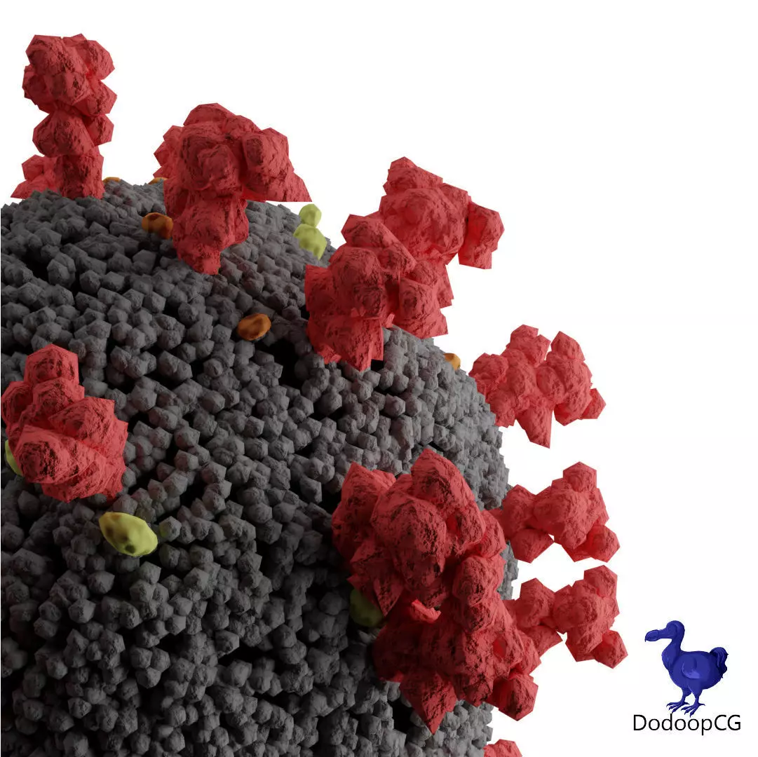 Corona Virus - Detailed 3D Medical Model 3D model_2