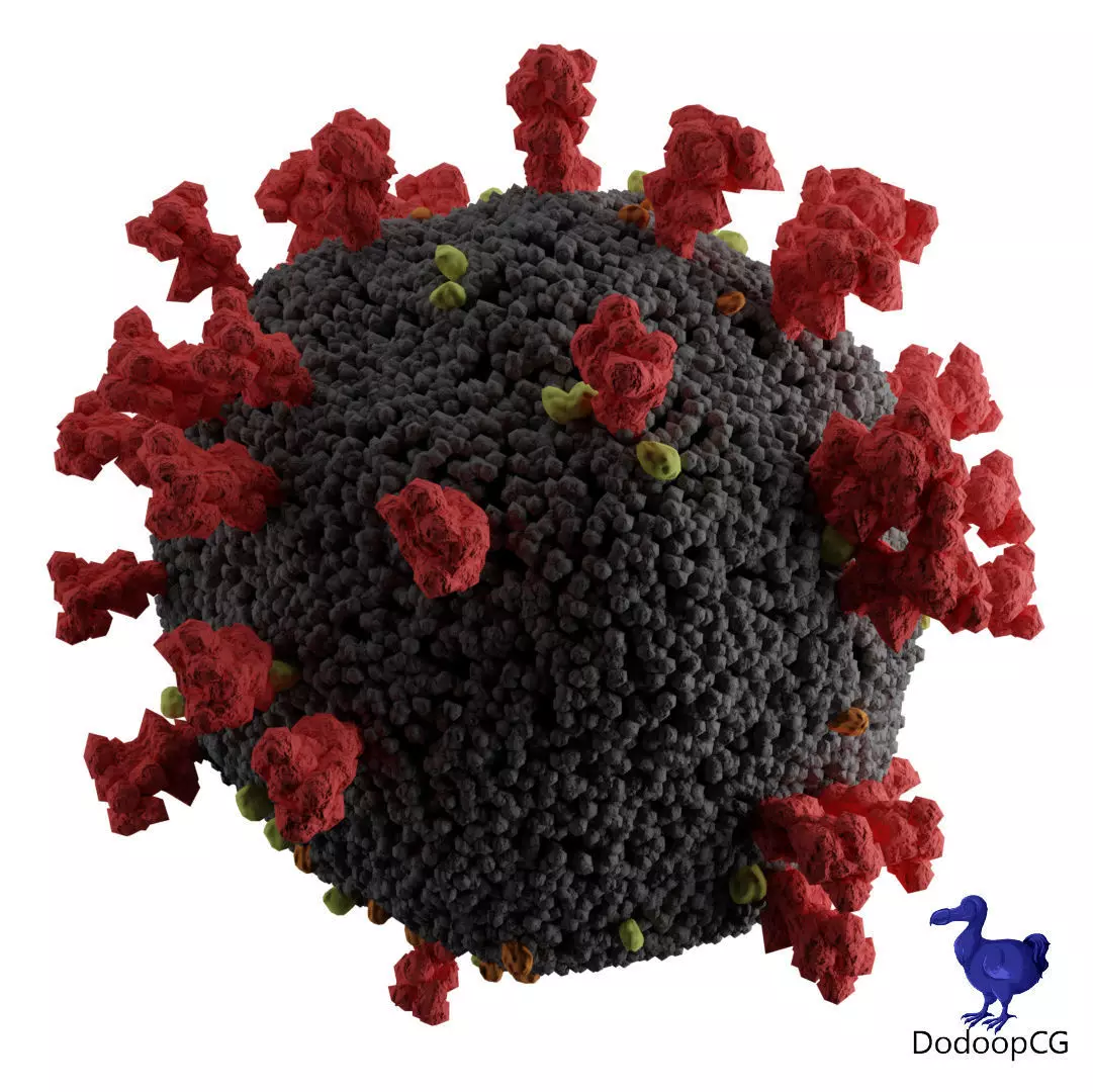 Corona Virus - Detailed 3D Medical Model 3D model_4