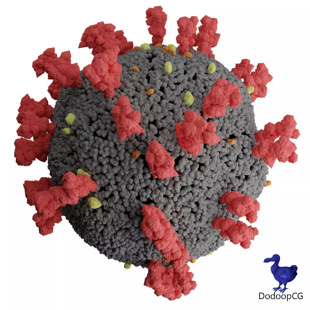 Corona Virus - Detailed 3D Medical Model 3D model_0
