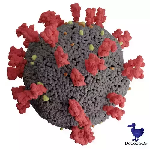 Corona Virus - Detailed 3D Medical Model 3D model