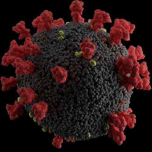 Corona Virus 3D model