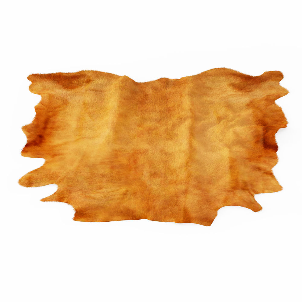 Brown Cowhide Rug 3D model_1