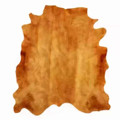 Brown Cowhide Rug 3D model