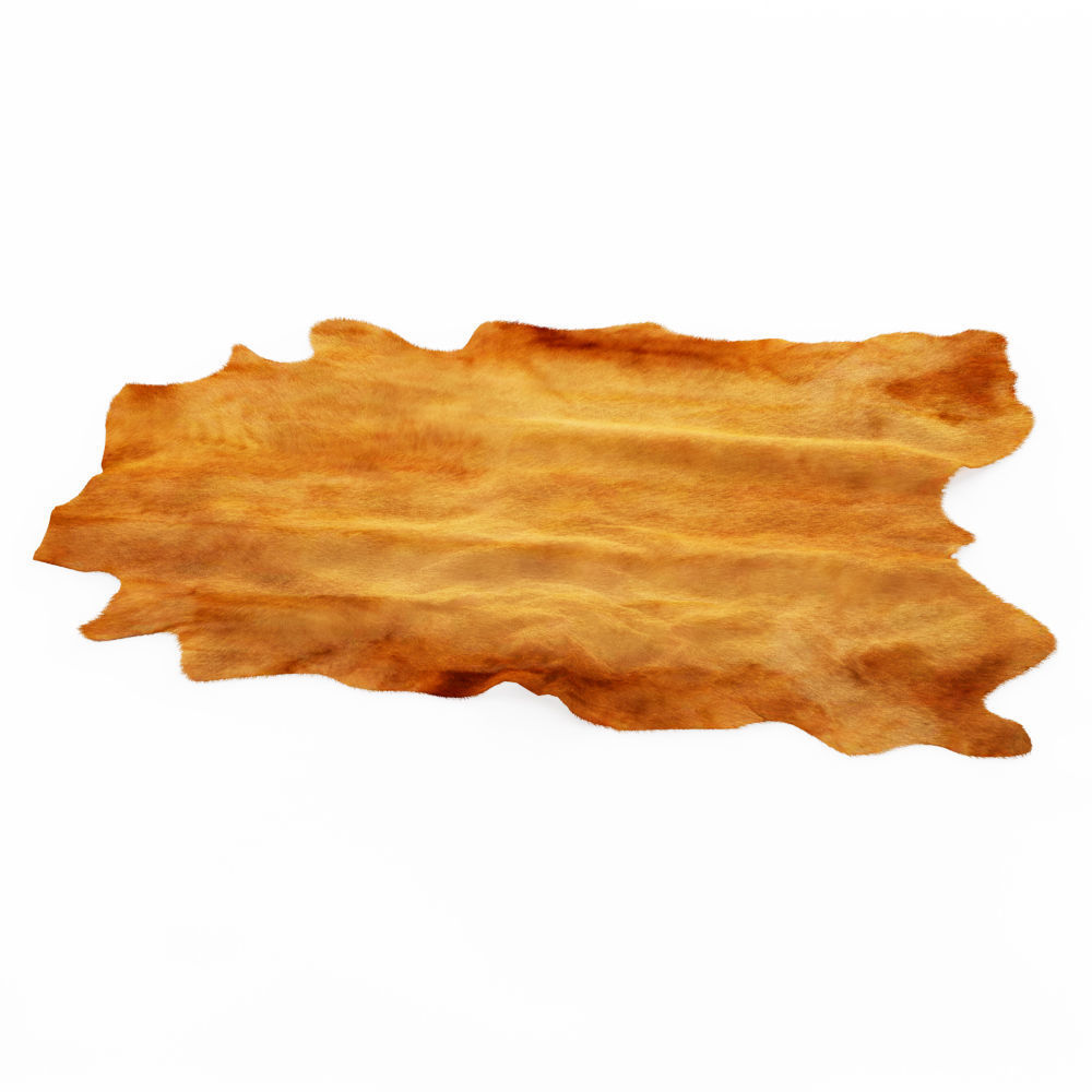 Brown Cowhide Rug 3D model_2