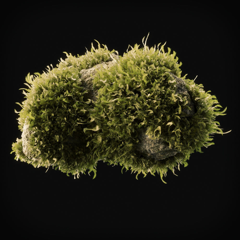 Moss Low Poly 11 Low-poly 3D model_1