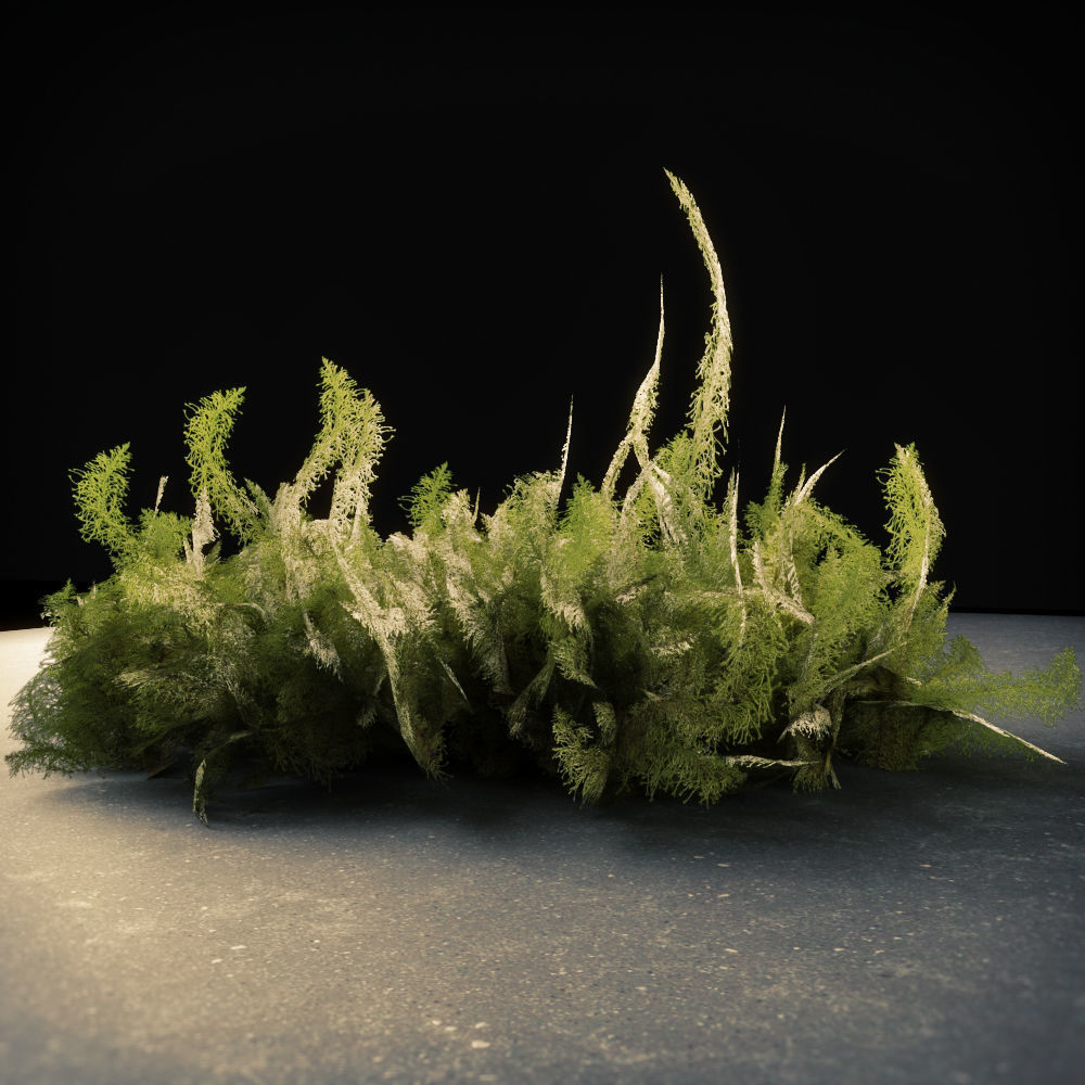 Moss Low Poly 11 Low-poly 3D model_3