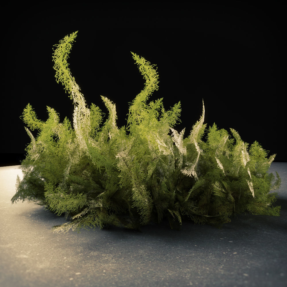 Moss Low Poly 11 Low-poly 3D model_4