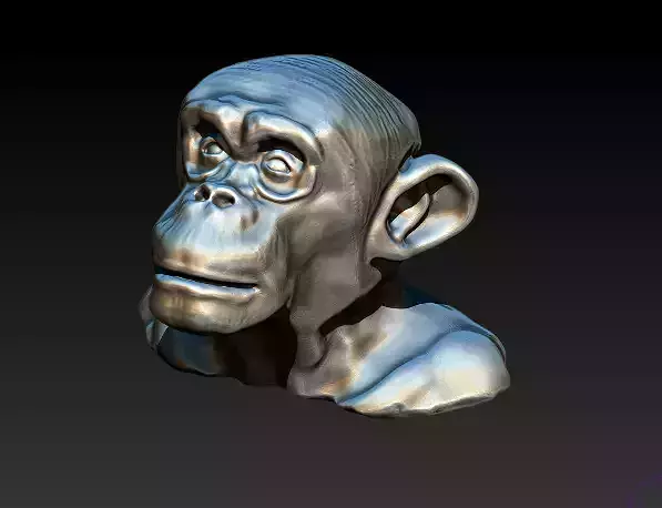 Chimp Monkey Orangutang Gorila bust head  3D print model