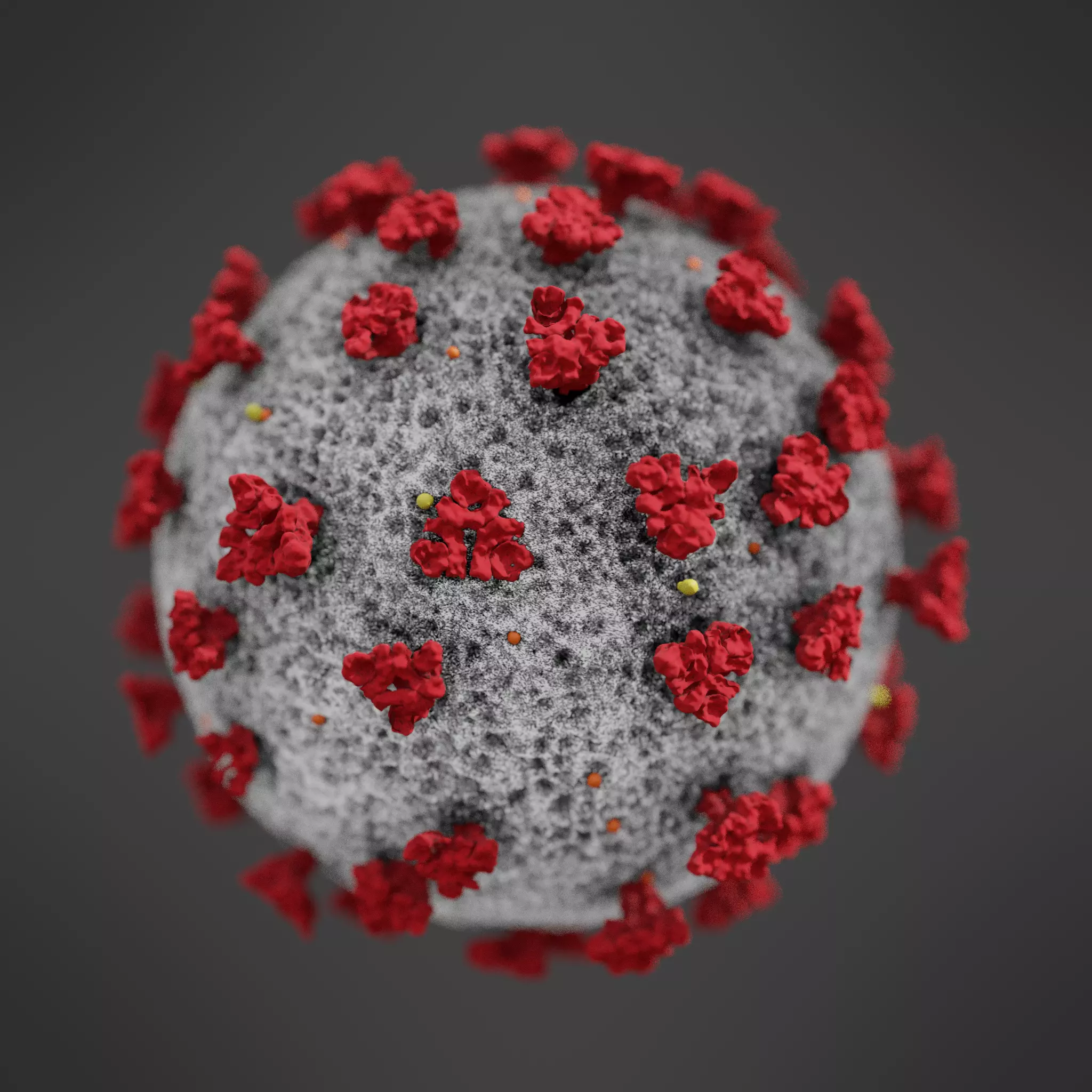 COVID-19 coronavirus 3D model_0