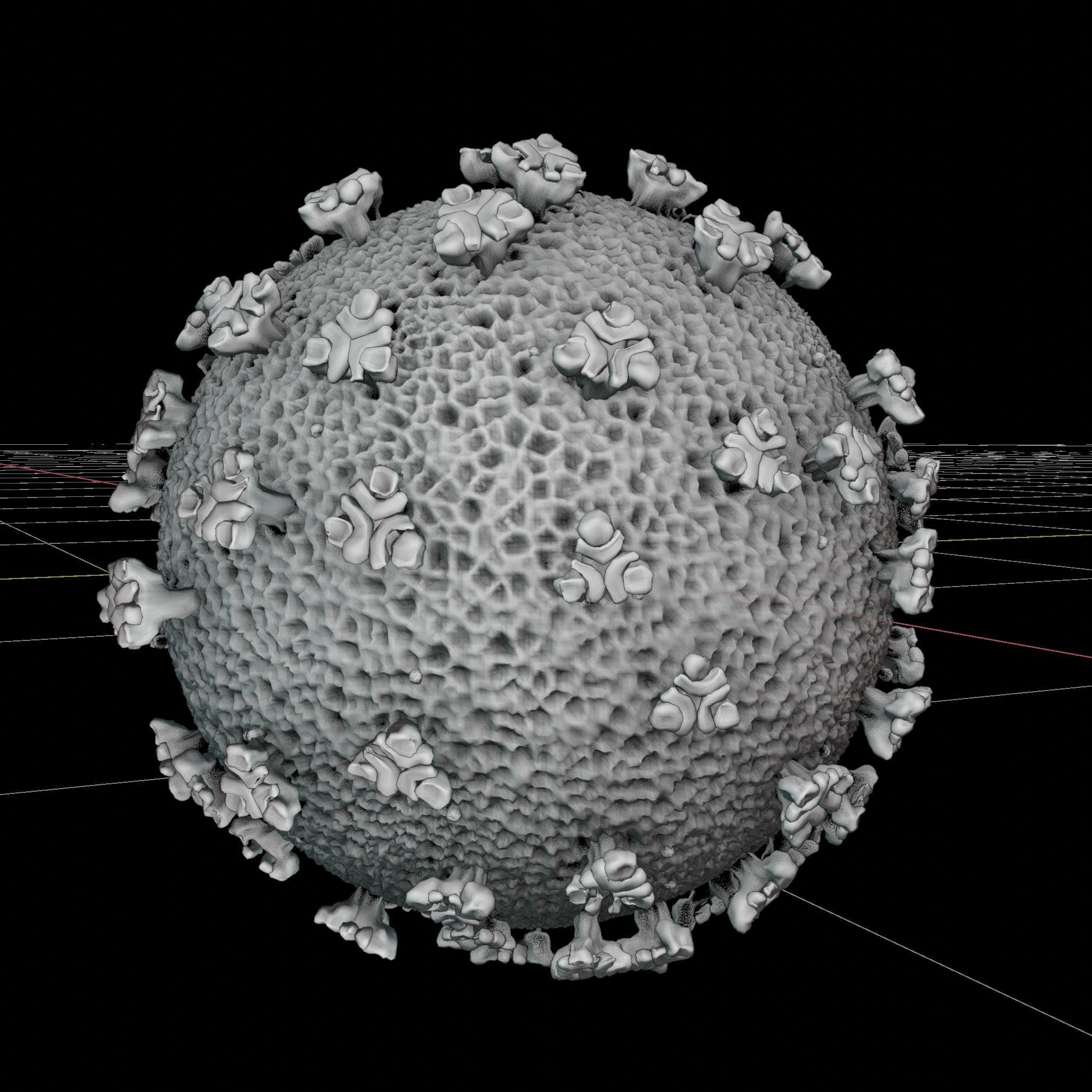 COVID-19 coronavirus 3D model_4