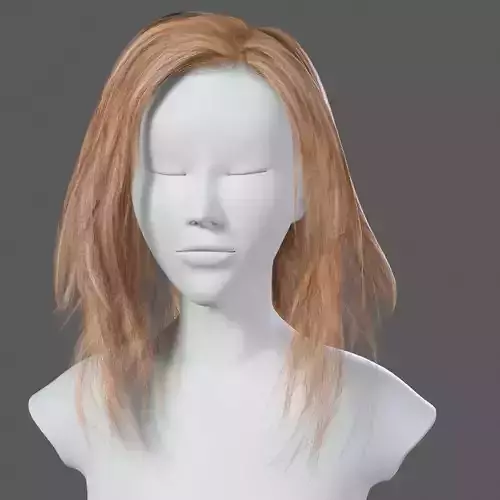 Blonde Woman Hairstyle