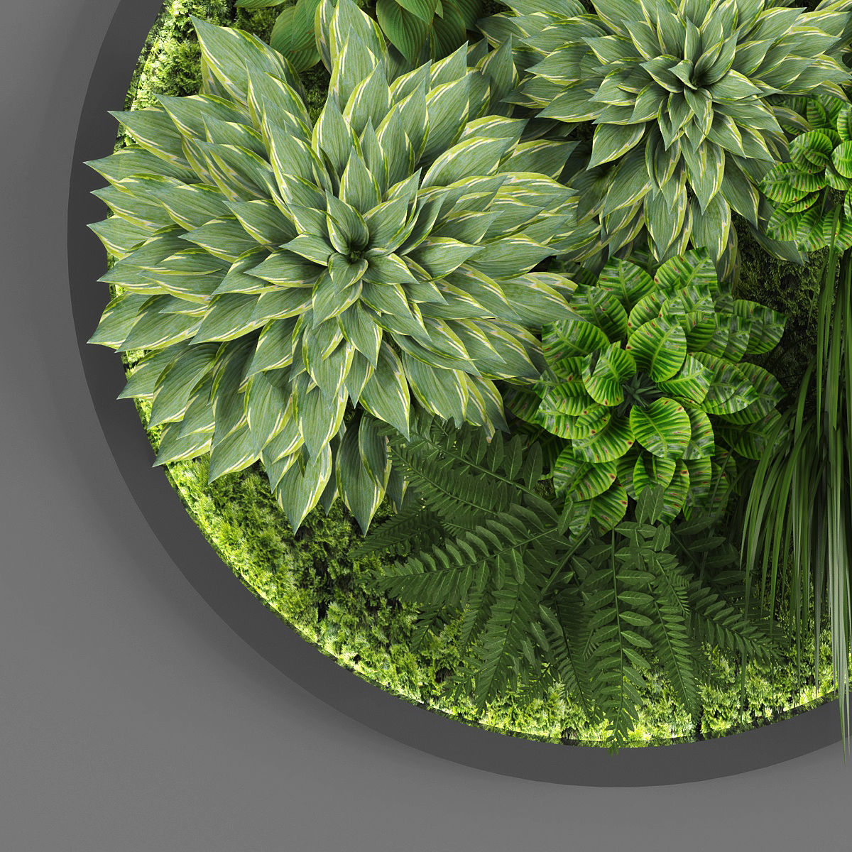 Vertical garden 37 Low-poly 3D model_1