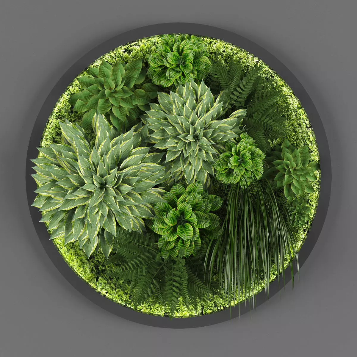 Vertical garden 37 Low-poly 3D model_0