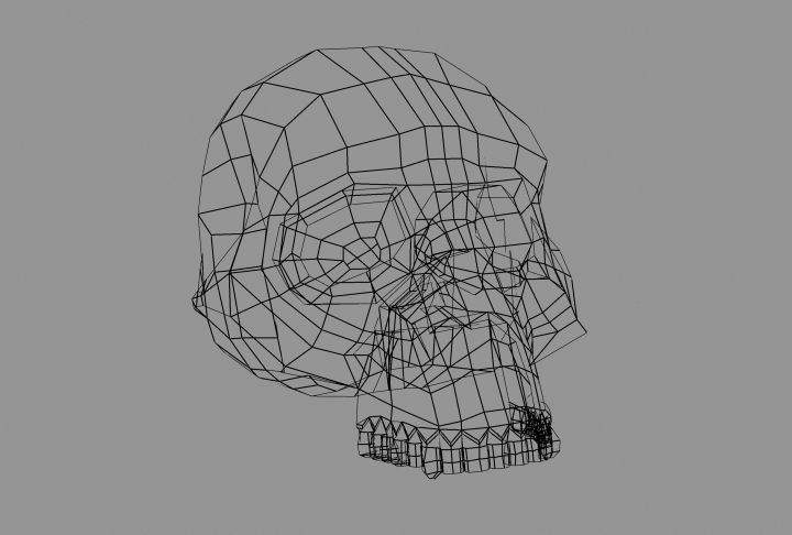 Skull Hominid 3D model_3