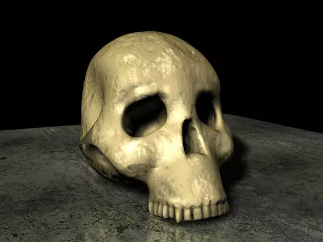 Skull Hominid 3D model_0