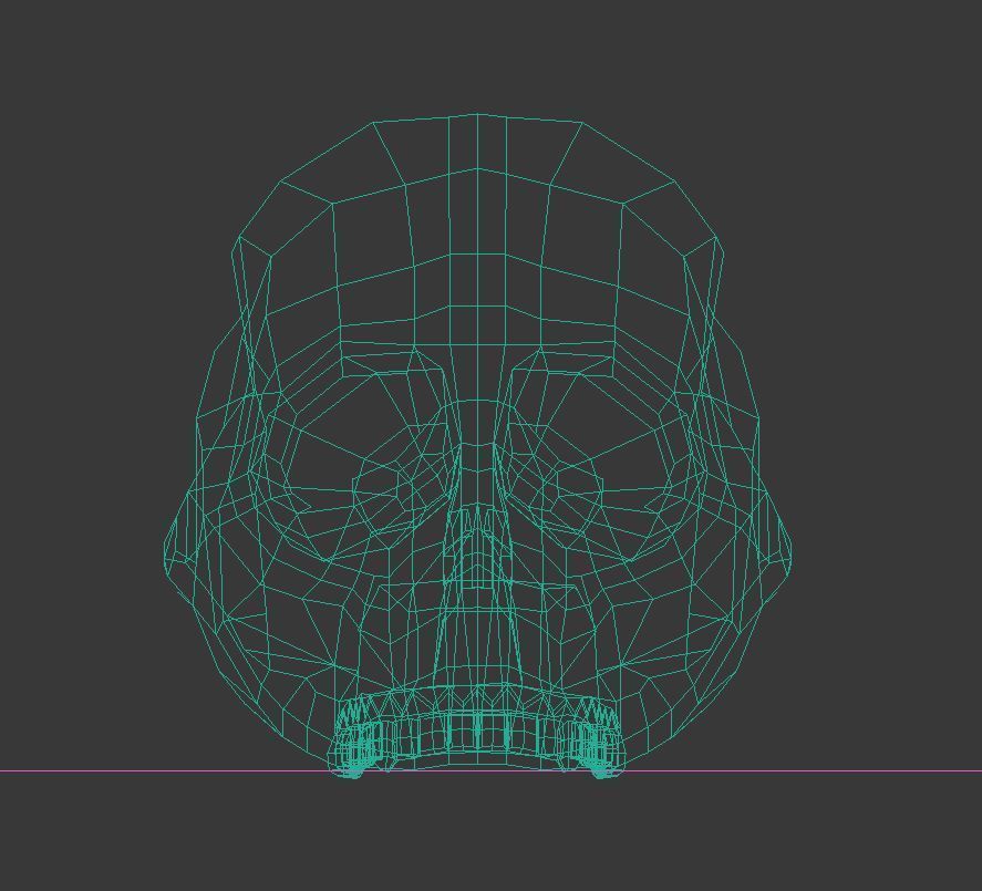 Skull Hominid 3D model_4