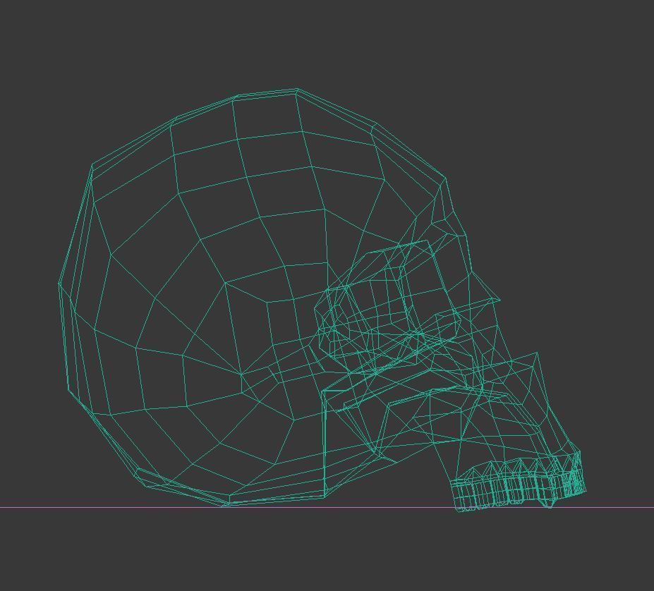 Skull Hominid 3D model_2