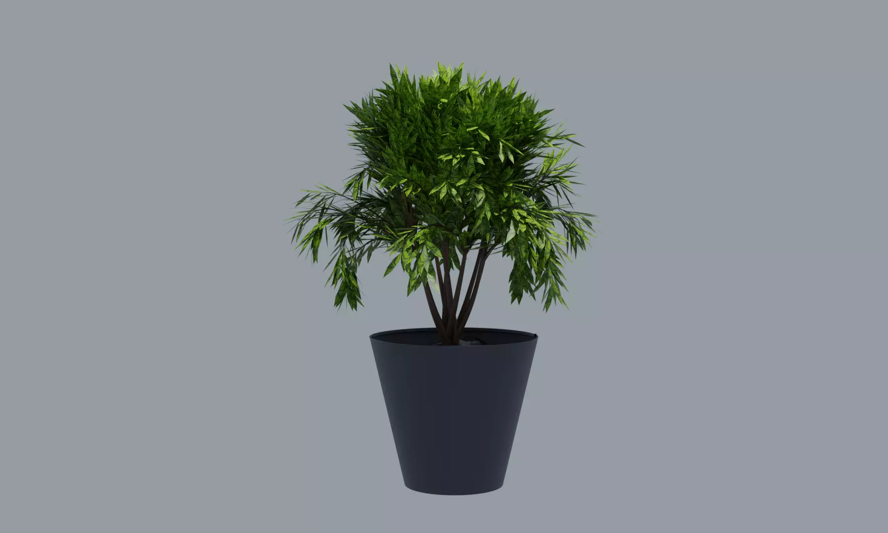 Plant Pot Low-poly 3D model_0