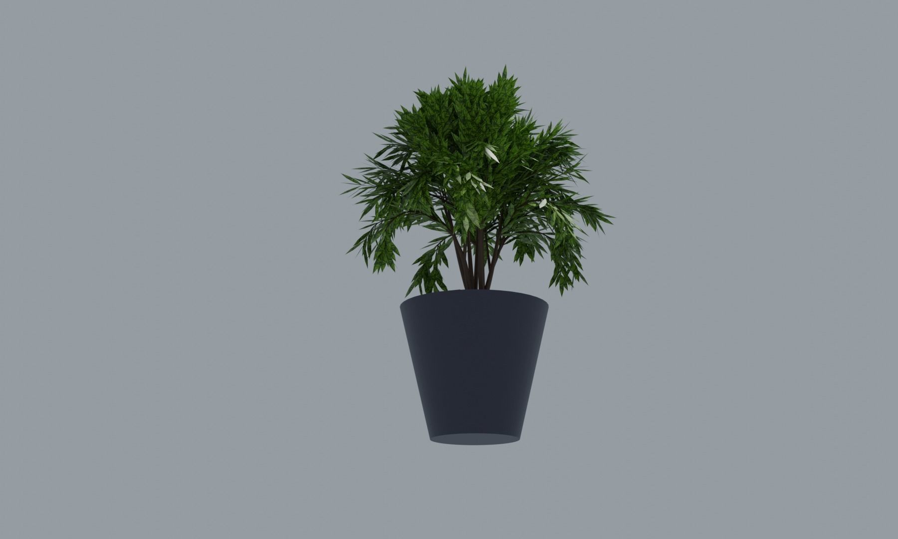 Plant Pot Low-poly 3D model_2
