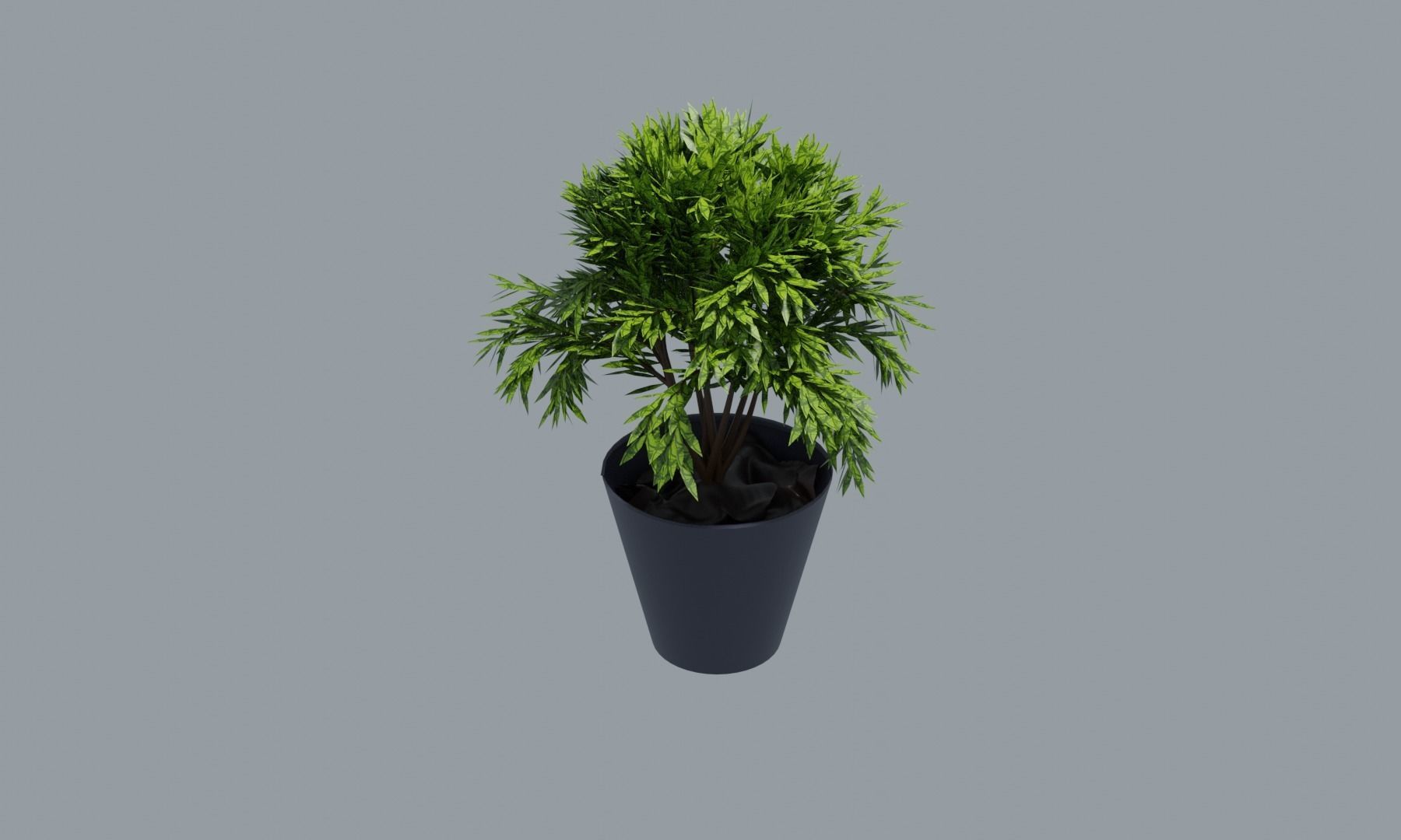 Plant Pot Low-poly 3D model_1