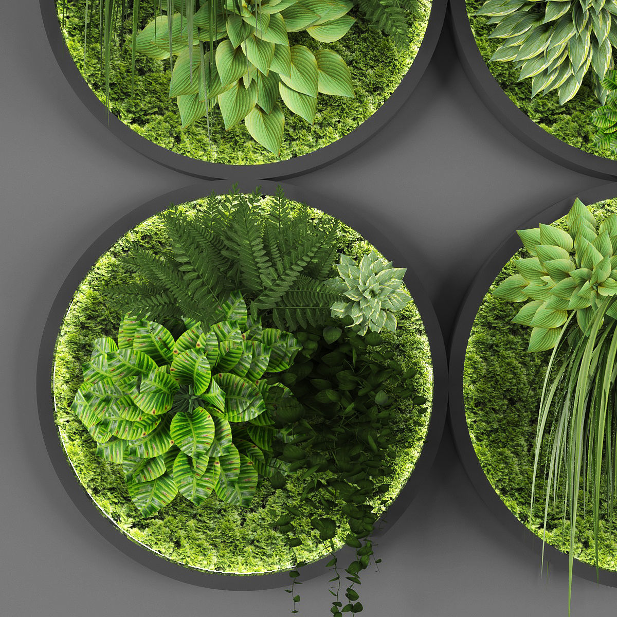 Vertical garden 41 3D model_1