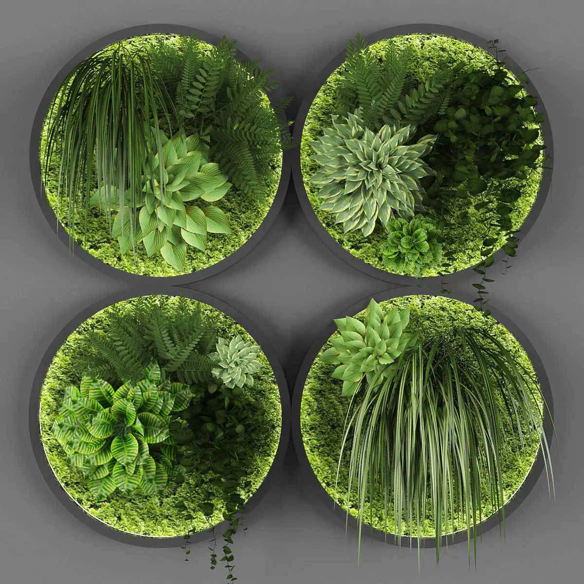 Vertical garden 41 3D model_0