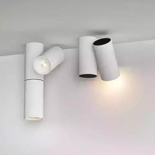 Ceiling Lamps CENTRSVET 5