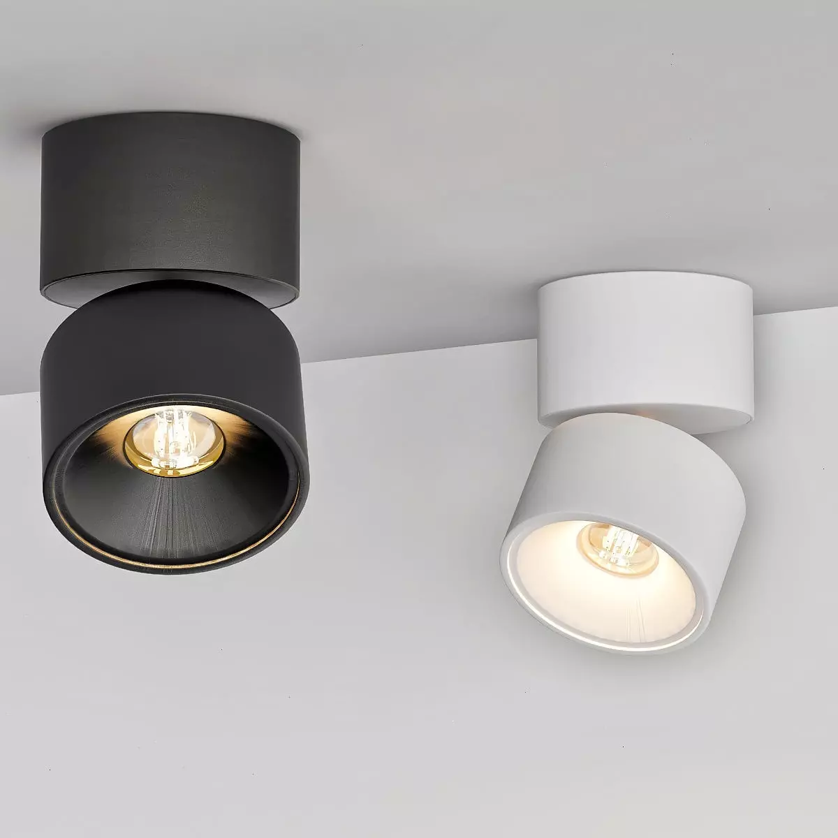Ceiling Lamps CENTRSVET 8 3D model_0