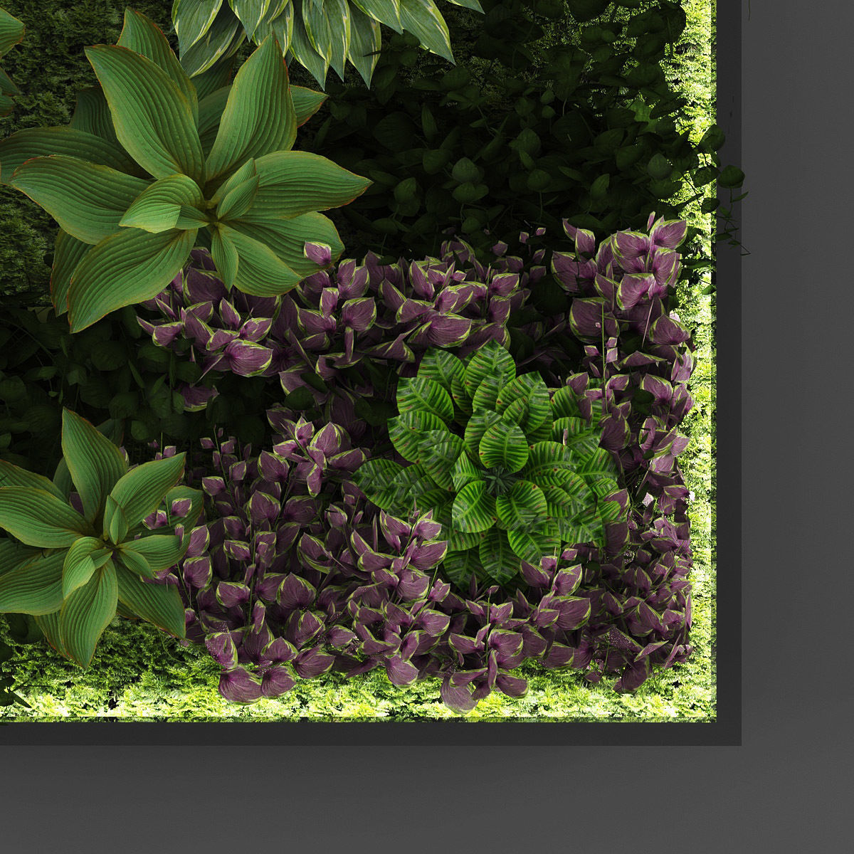 Vertical garden 45 Low-poly 3D model_1