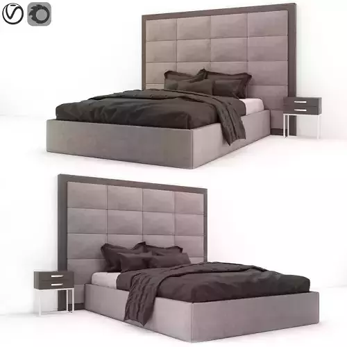Modern royal bed
