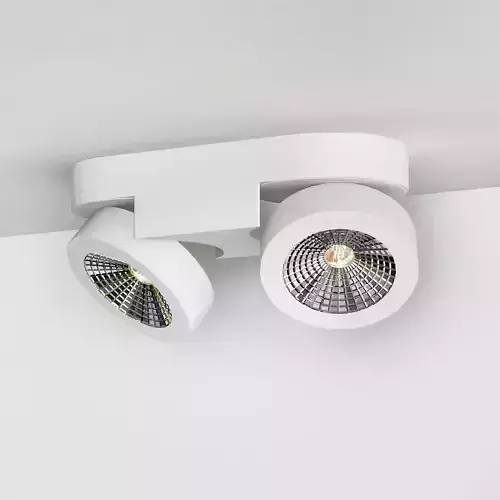 Ceiling Lamps CENTRSVET 11