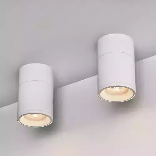 Ceiling Lamps CENTRSVET 12