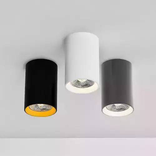 Ceiling Lamps CENTRSVET 13 3D model