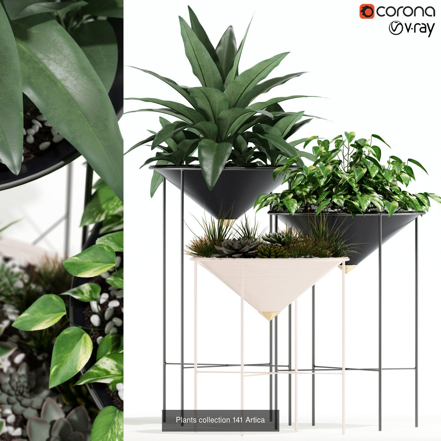 Plant Collection vol-01 _370