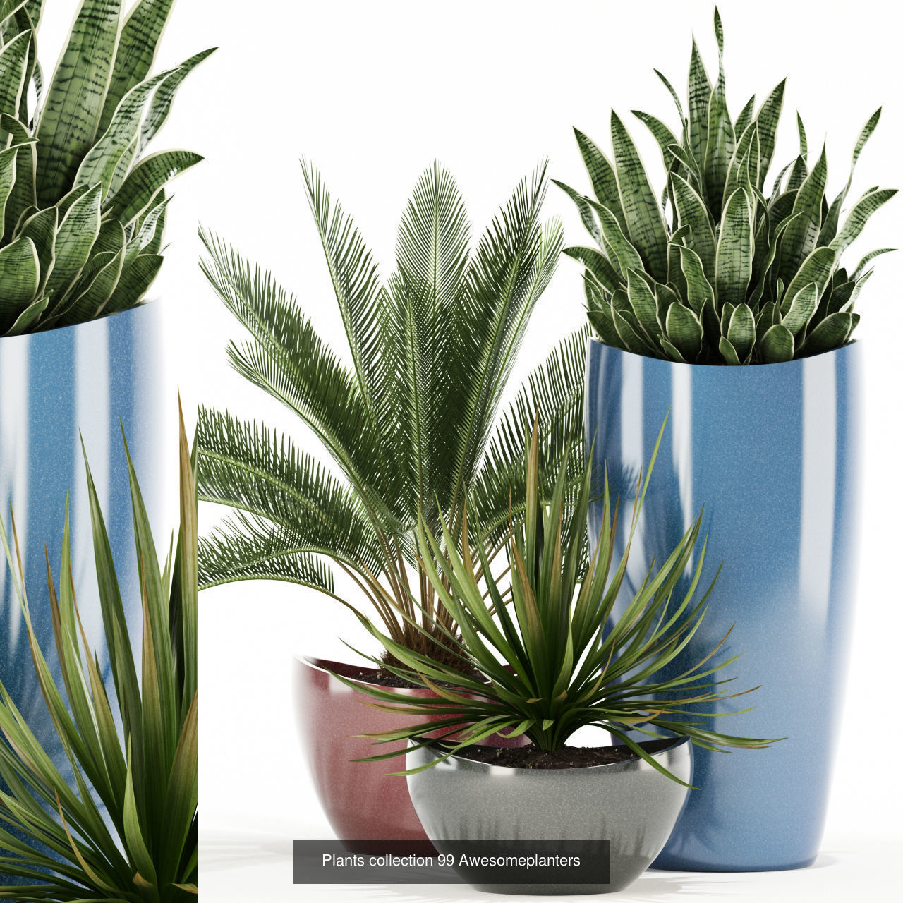 Plant Collection vol-01 _331